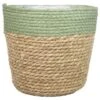 Bela Arte Bloempot- Groen - Rotan Plantenmand - 19 X 16 Cm