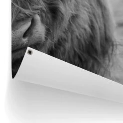 Tuinposter Schotse Hooglander 120x80 Cm Zwart-Wit -Exporteren Tuin & Thuis Decor Winkel 1000006179 0102