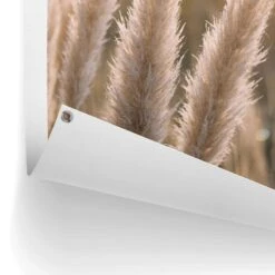 Tuinposter Pampas 80x60 Cm Beige -Exporteren Tuin & Thuis Decor Winkel 1000006193 0102