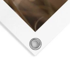 Tuinposter Pampas 80x60 Cm Beige -Exporteren Tuin & Thuis Decor Winkel 1000006193 0103