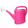 Forte Plastics Gieter - Roze - Kunststof - 9 Liter