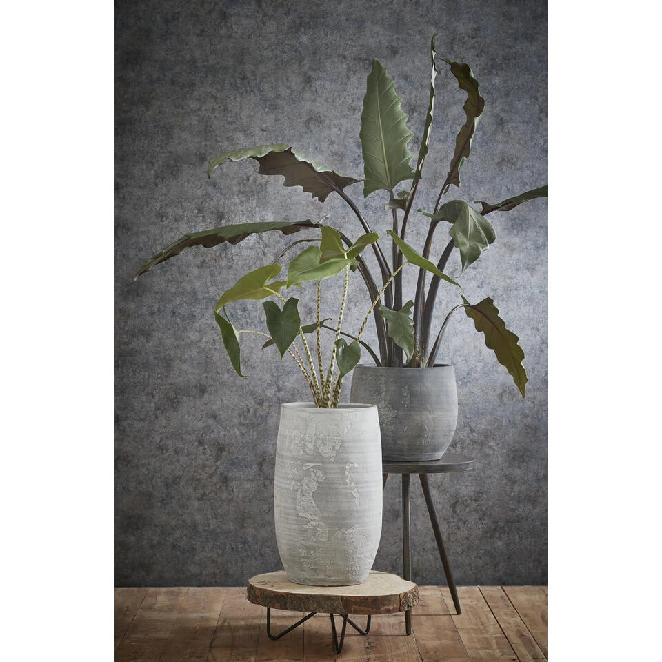 Mica Decorations Pia Boomstam Bijzettafel - H14 X Ø40 Cm - Lichtbruin 4 Mica Decorations Pia Boomstam Bijzettafel - H14 X Ø40 Cm - Lichtbruin - Afbeelding 4