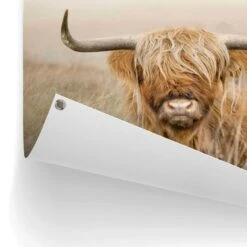 Tuinposter Hooglander 60x80 Cm Beige -Exporteren Tuin & Thuis Decor Winkel 1000042853 0102