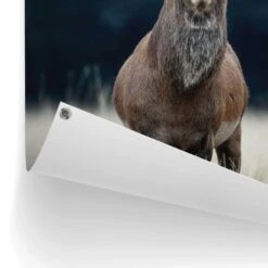 Tuinposter Hert 80x60 Cm Bruin -Exporteren Tuin & Thuis Decor Winkel 1000042863 0102