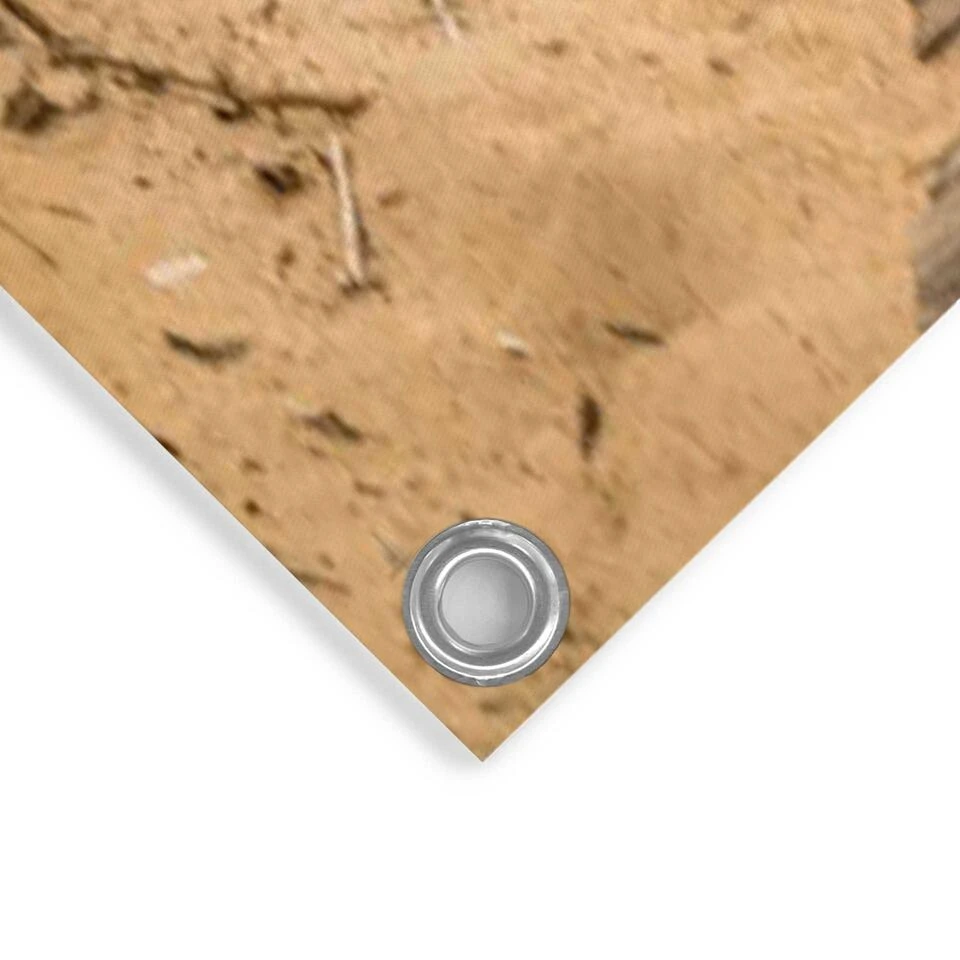 Tuinposter Zonsondergang Aan Het Strand 80x120 Cm Beige 4 Tuinposter Zonsondergang Aan Het Strand 80x120 Cm Beige - Afbeelding 4