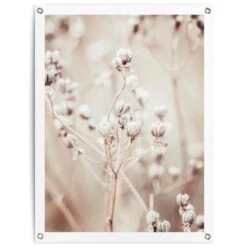 Tuinposter Gedroogde Tak 80x60 Cm Beige