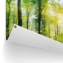 Tuinposter Zomer Bos 60x80 Cm Groen -Exporteren Tuin & Thuis Decor Winkel 1000042878 0102