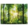 Tuinposter Zomer Bos 60x80 Cm Groen