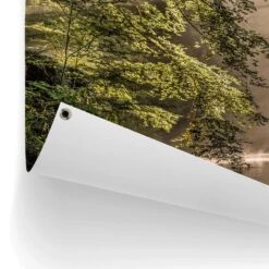 Tuinposter Beek In Het Bos 60x80 Cm Groen -Exporteren Tuin & Thuis Decor Winkel 1000042885 0102