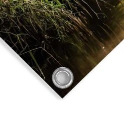 Tuinposter Beek In Het Bos 60x80 Cm Groen -Exporteren Tuin & Thuis Decor Winkel 1000042885 0103