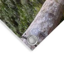 Tuinposter Morgenrood 80x120 Cm Blauw -Exporteren Tuin & Thuis Decor Winkel 1000042890 0103