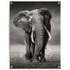 Tuinposter Wandelende Olifant 80x60 Cm Zwart