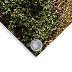 Tuinposter Tuinpaviljoen 60x80 Cm Groen -Exporteren Tuin & Thuis Decor Winkel 1000042902 0103