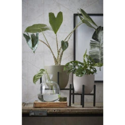 Mica Decorations Ascot Plantenstandaard L24 X B24 X H25 Cm Zwart -Exporteren Tuin & Thuis Decor Winkel 1000062281 0111