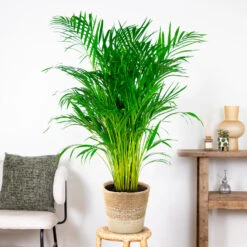 Mand Nea – Jute – Terami Kasih – ⌀26 Cm –↕ 10-15 Cm -Exporteren Tuin & Thuis Decor Winkel 1000072872 0102