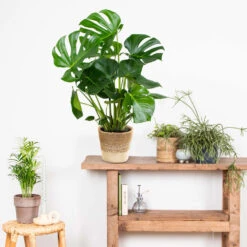 Mand Nea – Jute – Terami Kasih – ⌀26 Cm –↕ 10-15 Cm -Exporteren Tuin & Thuis Decor Winkel 1000072872 0103