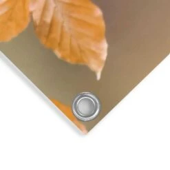 Tuinposter Goudvink 60x80 Cm Oranje -Exporteren Tuin & Thuis Decor Winkel 1000088338 0103