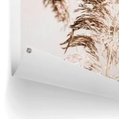 Tuinposter Pampasgras 80x60 Cm Beige -Exporteren Tuin & Thuis Decor Winkel 1000088342 0102