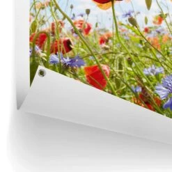 Tuinposter Bloemenveld 80x60 Cm Bont -Exporteren Tuin & Thuis Decor Winkel 1000088351 0102
