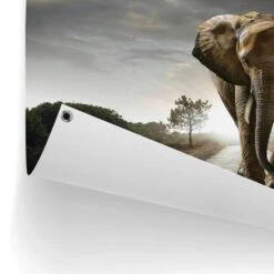 Tuinposter Wandelende Olifant 60x80 Cm Bruin -Exporteren Tuin & Thuis Decor Winkel 1000088363 0102