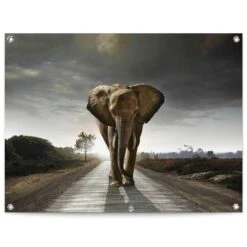Tuinposter Wandelende Olifant 60x80 Cm Bruin
