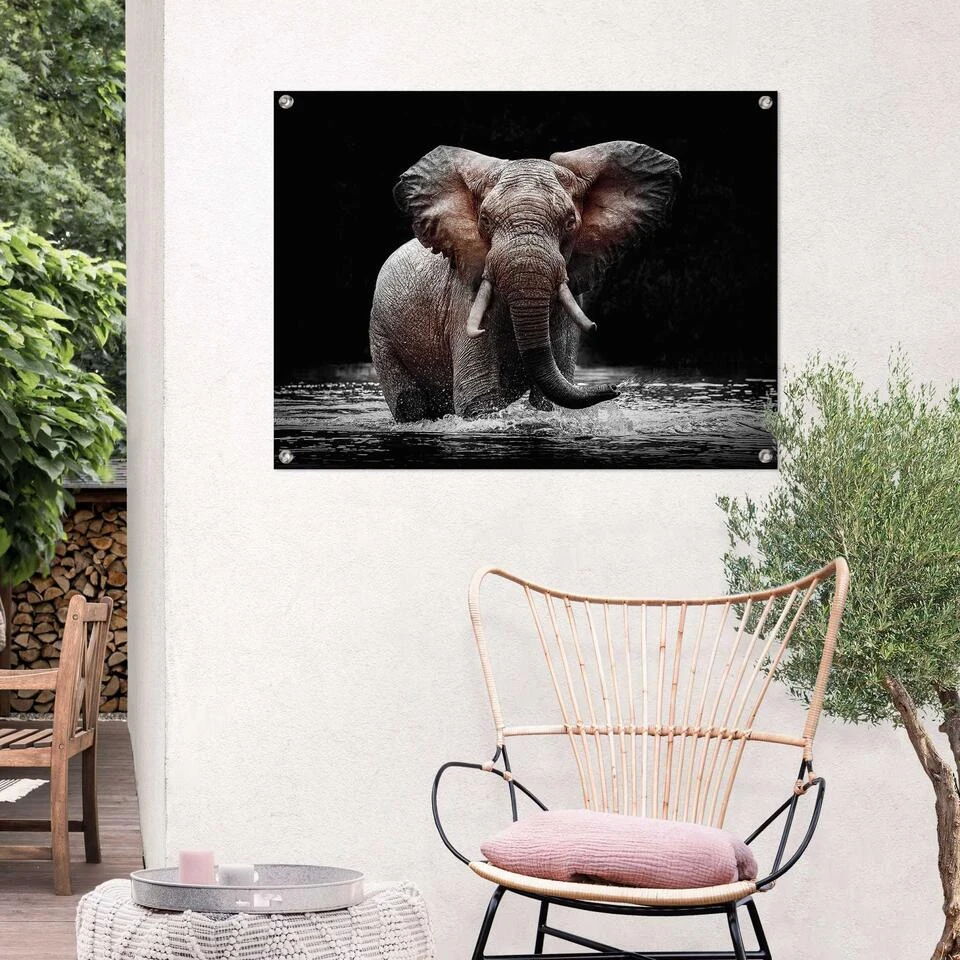 Tuinposter Olifant 60x80 Cm Bruin 2 Tuinposter Olifant 60x80 Cm Bruin - Afbeelding 2