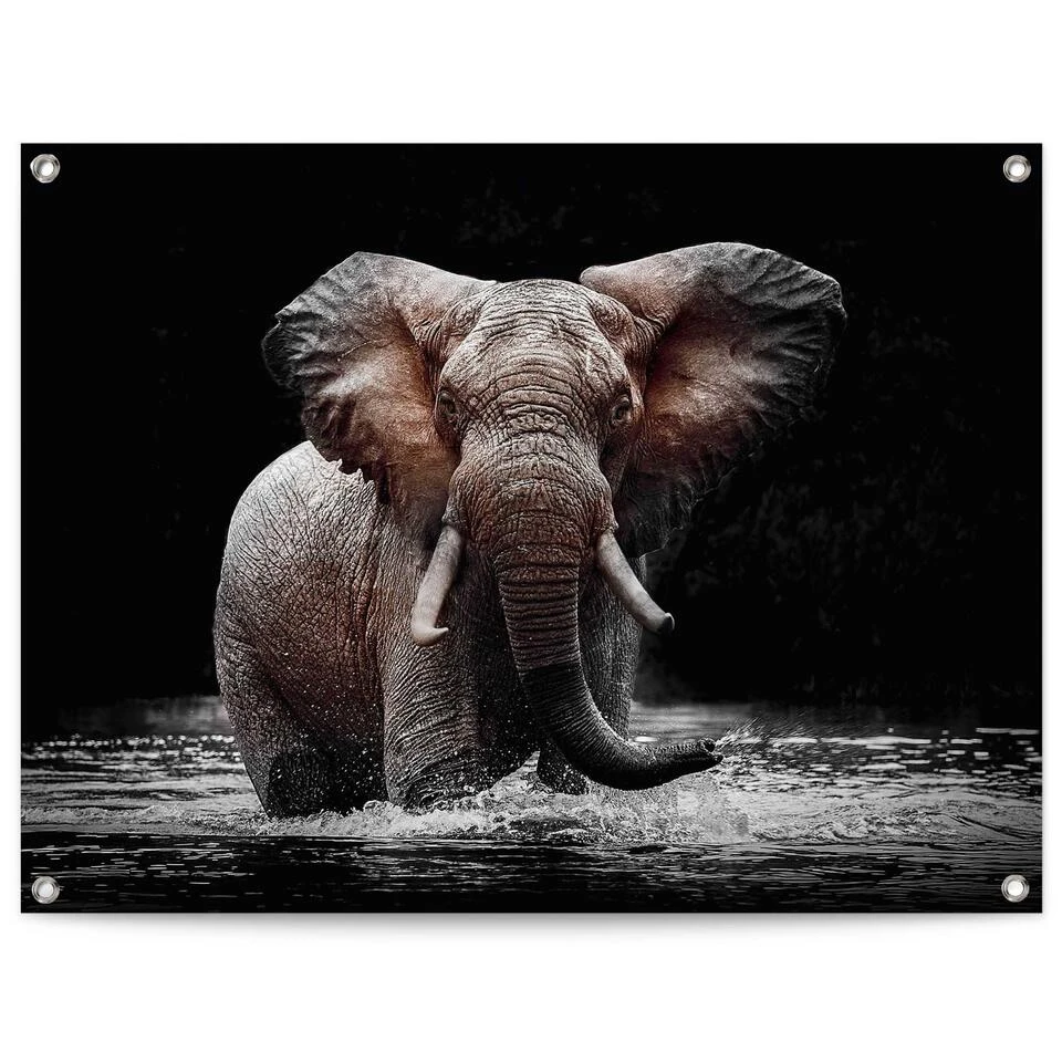 Tuinposter Olifant 60x80 Cm Bruin 1 Tuinposter Olifant 60x80 Cm Bruin