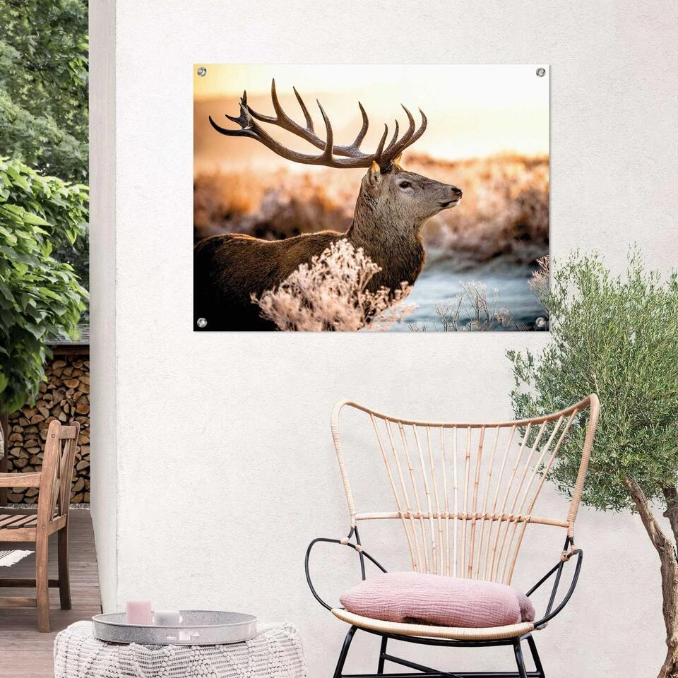 Tuinposter Hert 60x80 Cm Bruin 2 Tuinposter Hert 60x80 Cm Bruin - Afbeelding 2