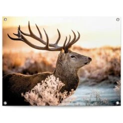 Tuinposter Hert 60x80 Cm Bruin
