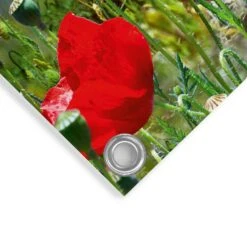 Tuinposter Zomerbloemen 60x80 Cm Rood -Exporteren Tuin & Thuis Decor Winkel 1000088387 0103