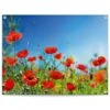 Tuinposter Zomerbloemen 60x80 Cm Rood