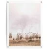 Tuinposter Schaap In De Mist 80x60 Cm Beige