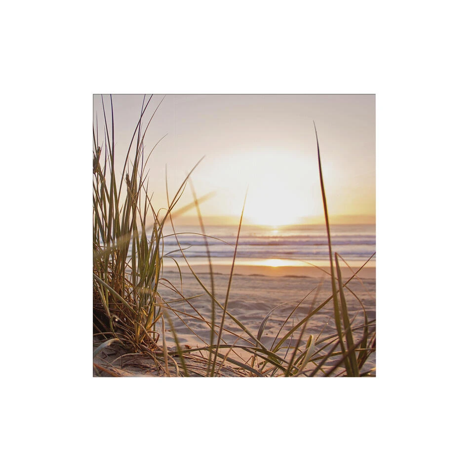 Art For The Home - Buitencanvas - Zonsondergang Duinen - 50x50cm 1 Art For The Home - Buitencanvas - Zonsondergang Duinen - 50x50cm