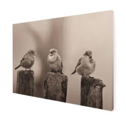Art For The Home - Buitencanvas - Vroege Vogels - Sepia - 50x70cm 6 Art For The Home - Buitencanvas - Vroege Vogels - Sepia - 50x70cm -Exporteren Tuin & Thuis Decor Winkel 1000095368 0102