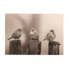 Art For The Home - Buitencanvas - Vroege Vogels - Sepia - 50x70cm