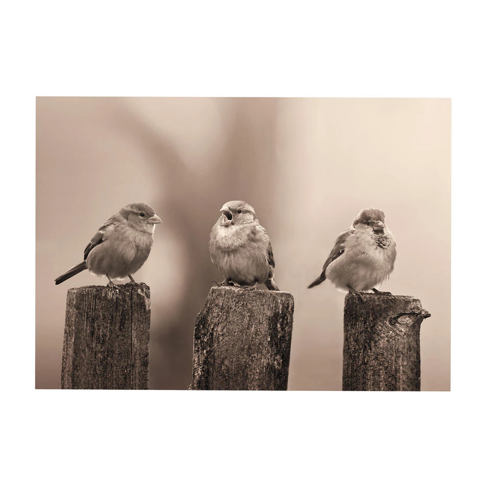 Art For The Home - Buitencanvas - Vroege Vogels - Sepia - 50x70cm 1 Art For The Home - Buitencanvas - Vroege Vogels - Sepia - 50x70cm