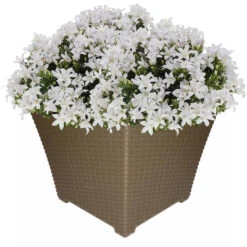 Forte Plastics Bloempot - Taupe - Kunststof - 37 X 37 X 32 Cm -Exporteren Tuin & Thuis Decor Winkel 1338951058 0101