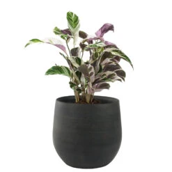 Steege Plantenpot - Moderne Look - Zwart - 31 X 28 Cm -Exporteren Tuin & Thuis Decor Winkel 2df06daa984a45789ae578627c3ca4de