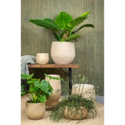 Steege Plantenpot - Keramiek - Beige - 15 X 13 Cm -Exporteren Tuin & Thuis Decor Winkel 63372b04880147a68ece8b549bc32f93