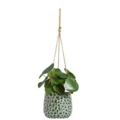 Hangpot Hangend Paul - Donkergroen - 11xØ12 Cm -Exporteren Tuin & Thuis Decor Winkel 71127134 0140 1