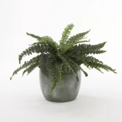 Mica Decorations Lester Bloempot Ø28 Cm Groen -Exporteren Tuin & Thuis Decor Winkel 74a8fb22d38d4a809670bef1afde55c8