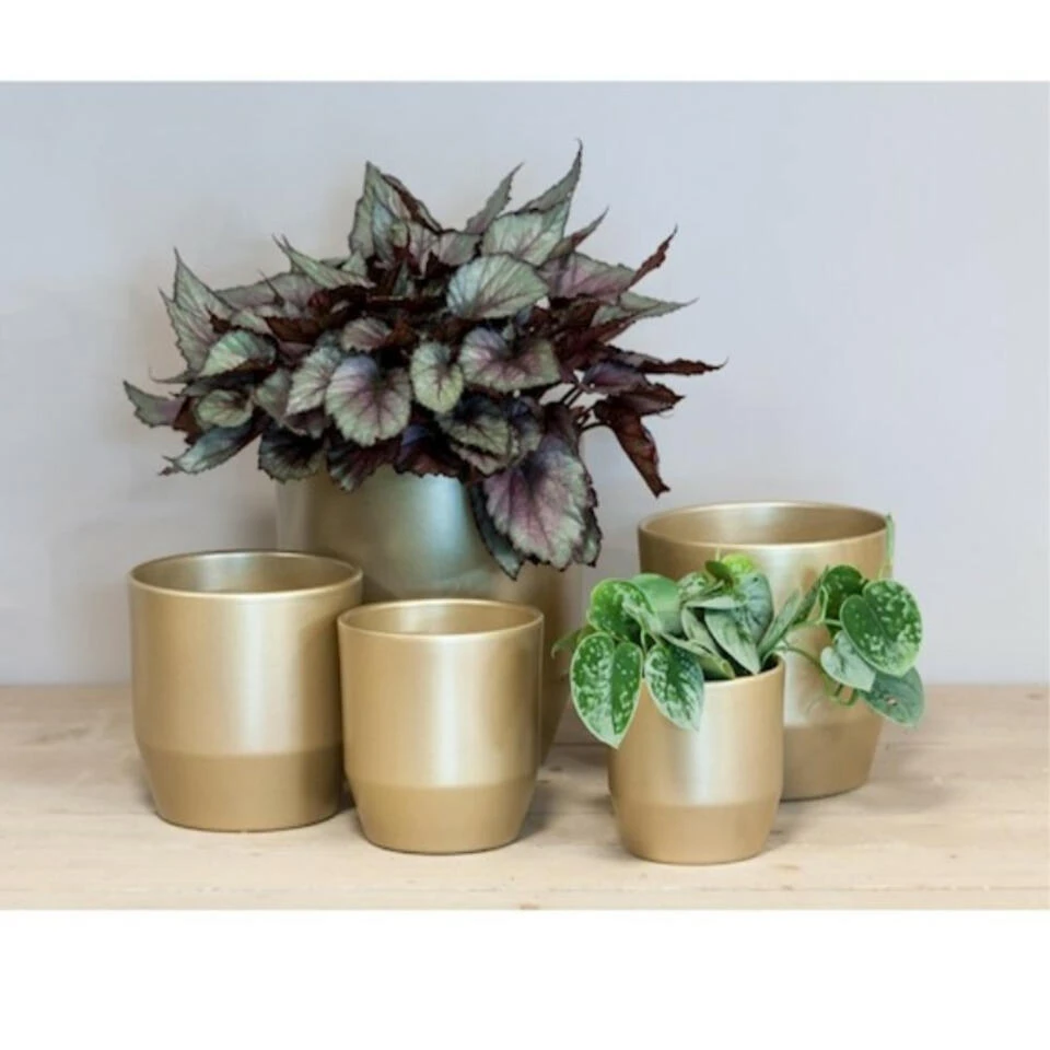 Bela Arte Plantenpot - Keramiek - Goud Glans - D21 X H20 Cm 2 Bela Arte Plantenpot - Keramiek - Goud Glans - D21 X H20 Cm - Afbeelding 2