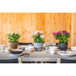 Ter Steege Plantenpot - Betongrijs - Kunststof - 33 X 29 Cm -Exporteren Tuin & Thuis Decor Winkel 953911f5badf4203a2736dda0a822710