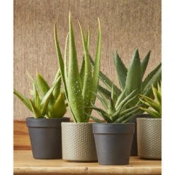 Mica Decorations Bloempot - Taupe - Relief - Keramiek - 28 X 26 Cm -Exporteren Tuin & Thuis Decor Winkel be92bb966e3148e385b044c7f134e226