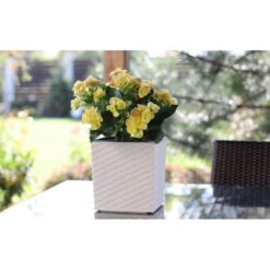 Prosperplast Plantenbak Rato - Wit - Rotan - Kunststof - 26 Cm -Exporteren Tuin & Thuis Decor Winkel cc65bddf97a4435c9fca58cf896b02be 1