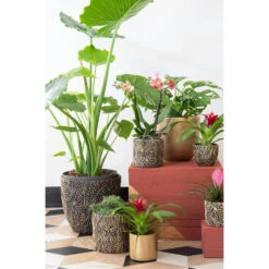 Mega Collections Plantenpot - Keramiek - Antraciet/goud - D14 Cm -Exporteren Tuin & Thuis Decor Winkel ce59d18bb95f461da4381301ed387445