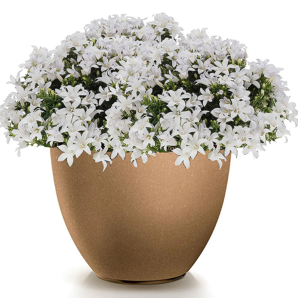 Prosperplast Plantenpot Sevilla - Kunststof - Hout/beige - D39 Cm 2 Prosperplast Plantenpot Sevilla - Kunststof - Hout/beige - D39 Cm - Afbeelding 2