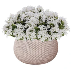 Prosperplast Plantenpot/bloempot - Kunststof - Taupe - D30 X H22 Cm 3 Prosperplast Plantenpot/bloempot - Kunststof - Taupe - D30 X H22 Cm -Exporteren Tuin & Thuis Decor Winkel d694d1469b054d15ae6a67be5c572bd1