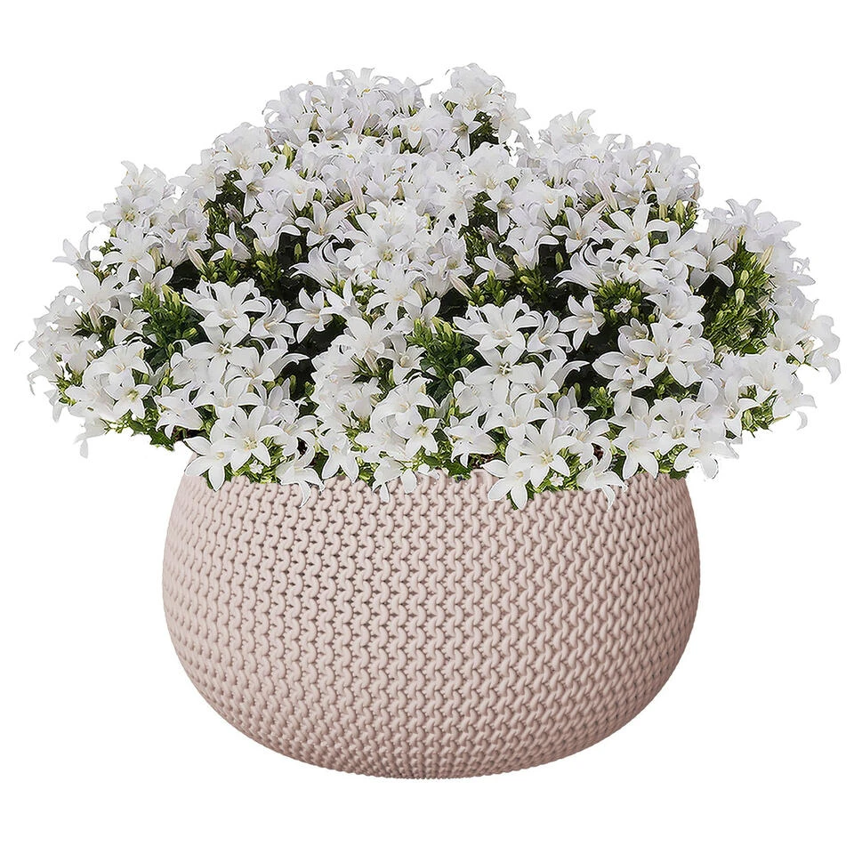 Prosperplast Plantenpot/bloempot - Kunststof - Taupe - D30 X H22 Cm 2 Prosperplast Plantenpot/bloempot - Kunststof - Taupe - D30 X H22 Cm - Afbeelding 2